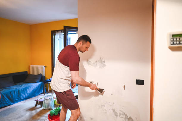 Best Home Mold Removal  in Houston, AK