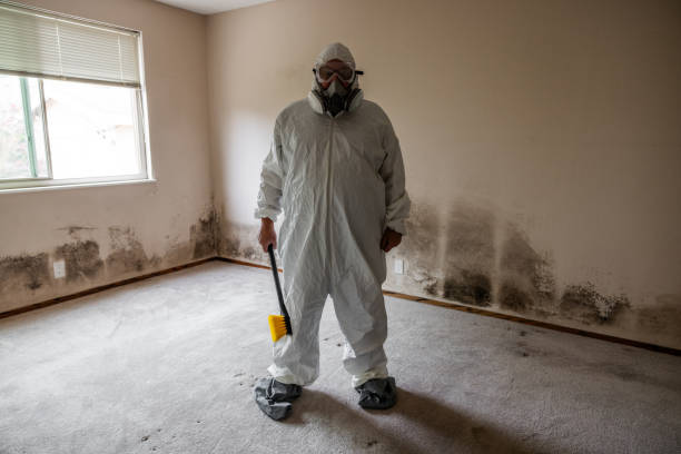 Best Attic Mold Removal  in Houston, AK